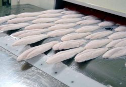 Секреты быстрого холода: как камеры шоковой заморозки спасают качество продуктов и разгоняют прибыль пищевых производств