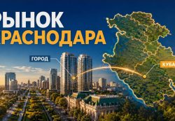 SEO-продвижение в Краснодаре: специфика юга России и сезонность спроса